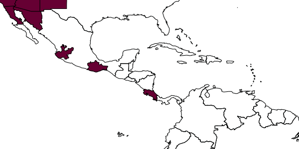 map of Chrysis astralia     Bohart, 1964